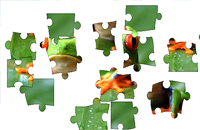 Tree Frog Puzzle
